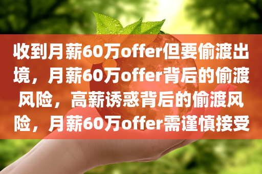 收到月薪60万offer但要偷渡出境，月薪60万offer背后的偷渡风险，高薪诱惑背后的偷渡风险，月薪60万offer需谨慎接受