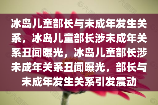 冰岛儿童部长与未成年发生关系，冰岛儿童部长涉未成年关系丑闻曝光，冰岛儿童部长涉未成年关系丑闻曝光，部长与未成年发生关系引发震动