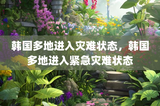 韩国多地进入灾难状态，韩国多地进入紧急灾难状态