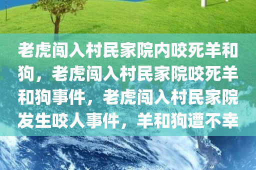 老虎闯入村民家院内咬死羊和狗，老虎闯入村民家院咬死羊和狗事件，老虎闯入村民家院发生咬人事件，羊和狗遭不幸