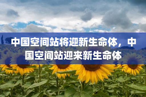 中国空间站将迎新生命体，中国空间站迎来新生命体，中国空间站迎来新生命体实验样本