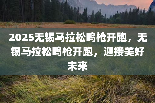 2025无锡马拉松鸣枪开跑，无锡马拉松鸣枪开跑，迎接美好未来，2025无锡马拉松鸣枪开跑，迈向美好未来