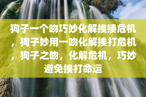 狗子一个吻巧妙化解挨揍危机，狗子妙用一吻化解挨打危机，狗子之吻，化解危机，巧妙避免挨打命运