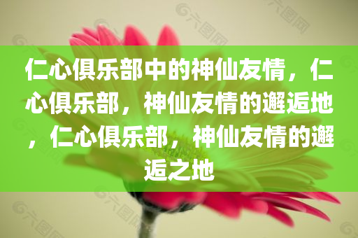 仁心俱乐部中的神仙友情，仁心俱乐部，神仙友情的邂逅地，仁心俱乐部，神仙友情的邂逅之地