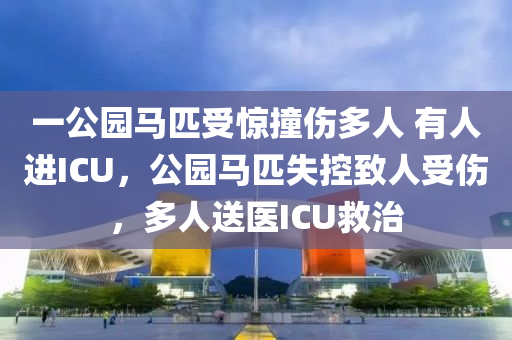 一公园马匹受惊撞伤多人 有人进ICU，公园马匹失控致人受伤，多人送医ICU救治