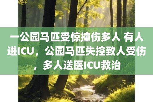 一公园马匹受惊撞伤多人 有人进ICU，公园马匹失控致人受伤，多人送医ICU救治