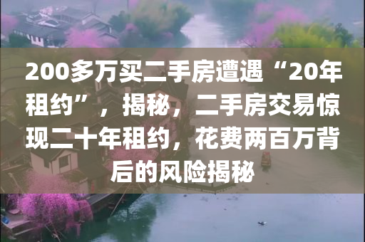200多万买二手房遭遇“20年租约”，揭秘，二手房交易惊现二十年租约，花费两百万背后的风险揭秘