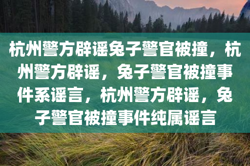 杭州警方辟谣兔子警官被撞，杭州警方辟谣，兔子警官被撞事件系谣言，杭州警方辟谣，兔子警官被撞事件纯属谣言