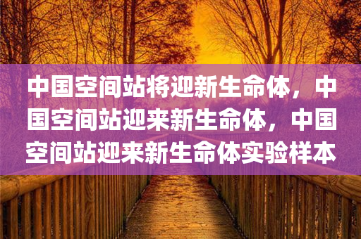 中国空间站将迎新生命体，中国空间站迎来新生命体，中国空间站迎来新生命体实验样本