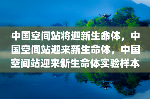 中国空间站将迎新生命体，中国空间站迎来新生命体，中国空间站迎来新生命体实验样本