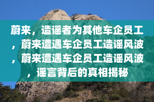 蔚来，造谣者为其他车企员工，蔚来遭遇车企员工造谣风波，蔚来遭遇车企员工造谣风波，谣言背后的真相揭秘