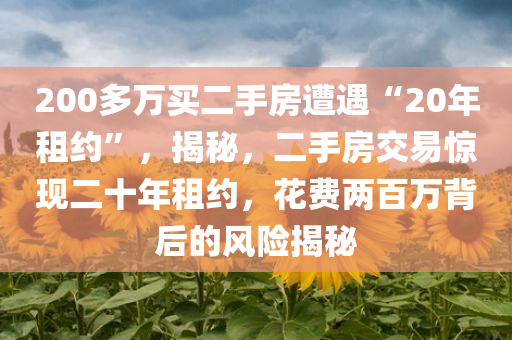 200多万买二手房遭遇“20年租约”，揭秘，二手房交易惊现二十年租约，花费两百万背后的风险揭秘