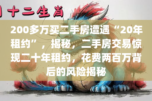 200多万买二手房遭遇“20年租约”，揭秘，二手房交易惊现二十年租约，花费两百万背后的风险揭秘