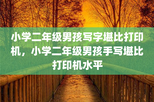 小学二年级男孩写字堪比打印机，小学二年级男孩手写堪比打印机水平