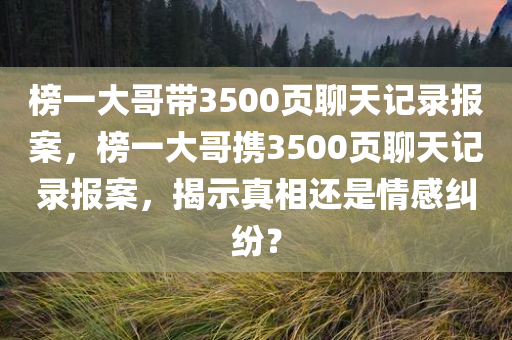 榜一大哥带3500页聊天记录报案，榜一大哥携3500页聊天记录报案，揭示真相还是情感纠纷？
