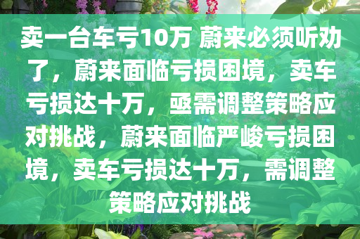 卖一台车亏10万 蔚来必须听劝了，蔚来面临亏损困境，卖车亏损达十万，亟需调整策略应对挑战，蔚来面临严峻亏损困境，卖车亏损达十万，需调整策略应对挑战