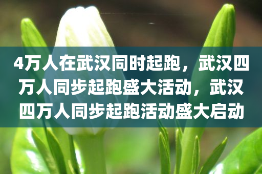 4万人在武汉同时起跑，武汉四万人同步起跑盛大活动，武汉四万人同步起跑活动盛大启动