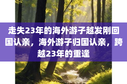 走失23年的海外游子越发刚回国认亲，海外游子归国认亲，跨越23年的重逢，海外游子归国认亲，跨越时空的团圆，长达23年的重逢之路