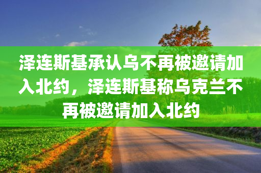 泽连斯基承认乌不再被邀请加入北约，泽连斯基称乌克兰不再被邀请加入北约，泽连斯基谈乌克兰与北约关系，不再被邀请加入北约