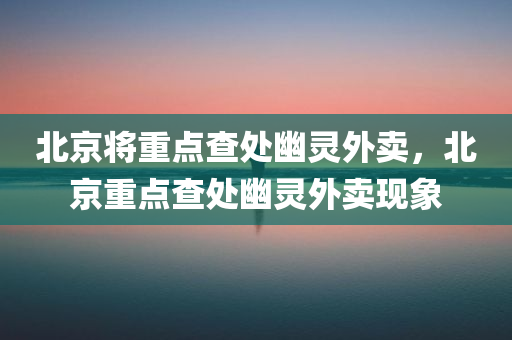 北京将重点查处幽灵外卖，北京重点查处幽灵外卖现象，北京严厉打击幽灵外卖现象，重点查处行动启动