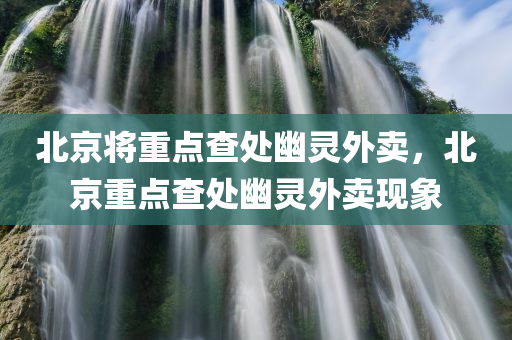 北京将重点查处幽灵外卖，北京重点查处幽灵外卖现象