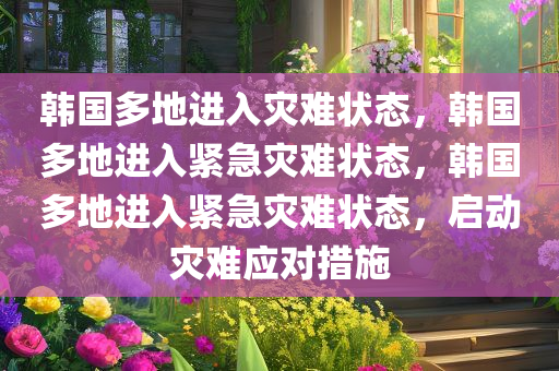 韩国多地进入灾难状态，韩国多地进入紧急灾难状态，韩国多地进入紧急灾难状态，启动灾难应对措施