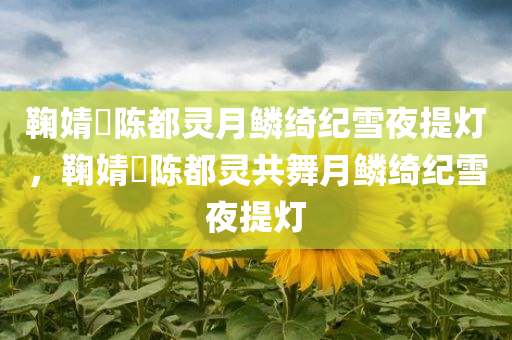 鞠婧祎陈都灵月鳞绮纪雪夜提灯，鞠婧祎陈都灵共舞月鳞绮纪雪夜提灯