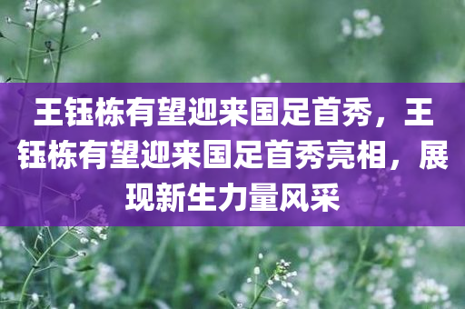 王钰栋有望迎来国足首秀，王钰栋有望迎来国足首秀亮相，展现新生力量风采