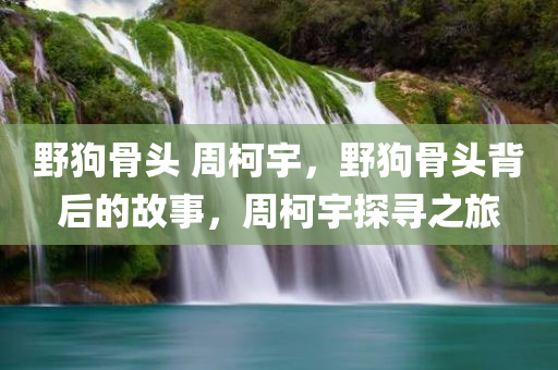 野狗骨头 周柯宇，野狗骨头背后的故事，周柯宇探寻之旅