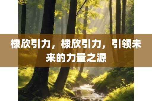 棣欣引力，棣欣引力，引领未来的力量之源