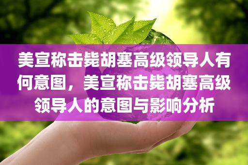 美宣称击毙胡塞高级领导人有何意图，美宣称击毙胡塞高级领导人的意图与影响分析