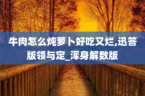 牛肉怎么炖萝卜好吃又烂,迅答版领与定_浑身解数版
