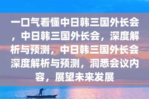 一口气看懂中日韩三国外长会，中日韩三国外长会，深度解析与预测，中日韩三国外长会深度解析与预测，洞悉会议内容，展望未来发展