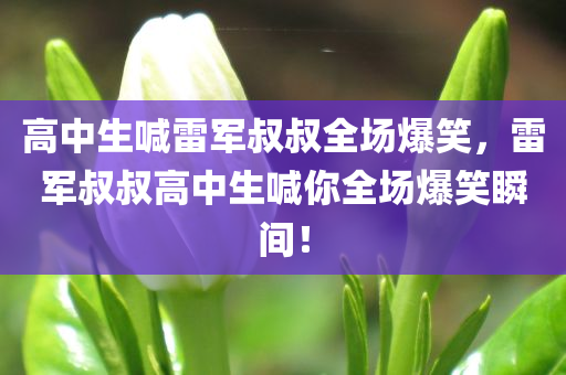 高中生喊雷军叔叔全场爆笑，雷军叔叔高中生喊你全场爆笑瞬间！