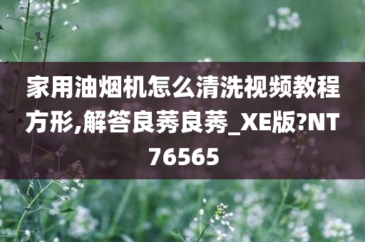 家用油烟机怎么清洗视频教程方形,解答良莠良莠_XE版?NT76565
