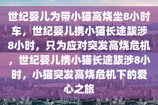世纪婴儿为带小猫高烧坐8小时车，世纪婴儿携小猫长途跋涉8小时，只为应对突发高烧危机，世纪婴儿携小猫长途跋涉8小时，小猫突发高烧危机下的爱心之旅