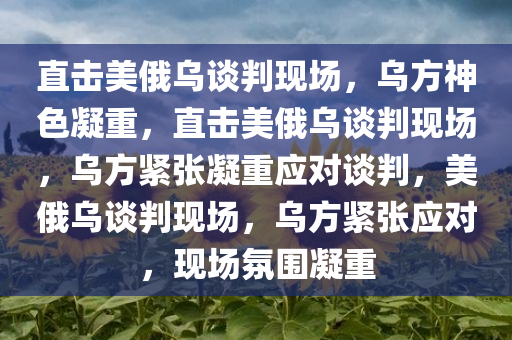 直击美俄乌谈判现场，乌方神色凝重，直击美俄乌谈判现场，乌方紧张凝重应对谈判，美俄乌谈判现场，乌方紧张应对，现场氛围凝重