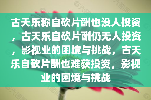古天乐称自砍片酬也没人投资，古天乐自砍片酬仍无人投资，影视业的困境与挑战，古天乐自砍片酬也难获投资，影视业的困境与挑战