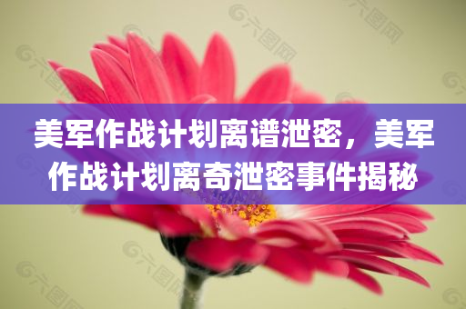 美军作战计划离谱泄密，美军作战计划离奇泄密事件揭秘