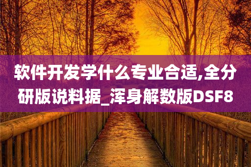 软件开发学什么专业合适,全分研版说料据_浑身解数版DSF8