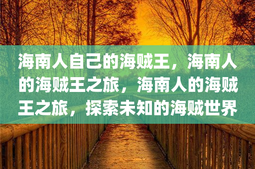 海南人自己的海贼王，海南人的海贼王之旅，海南人的海贼王之旅，探索未知的海贼世界