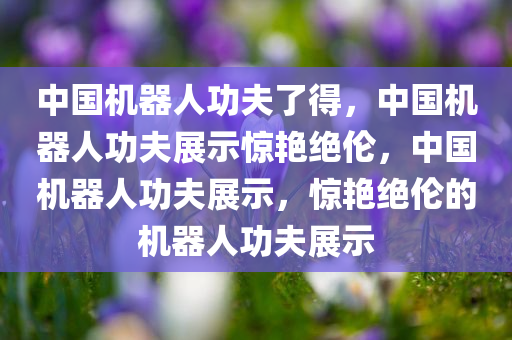 中国机器人功夫了得，中国机器人功夫展示惊艳绝伦，中国机器人功夫展示，惊艳绝伦的机器人功夫展示