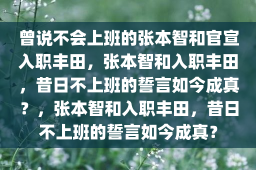 曾说不会上班的张本智和官宣入职丰田，张本智和入职丰田，昔日不上班的誓言如今成真？，张本智和入职丰田，昔日不上班的誓言如今成真？