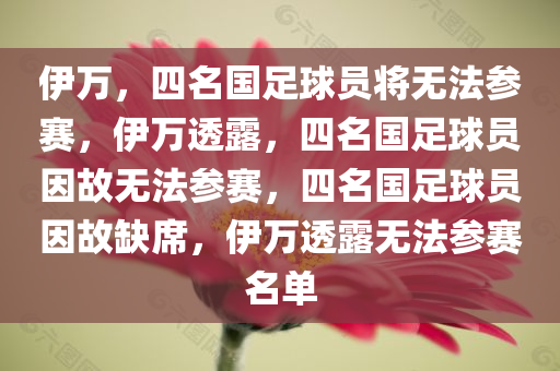 伊万，四名国足球员将无法参赛，伊万透露，四名国足球员因故无法参赛，四名国足球员因故缺席，伊万透露无法参赛名单