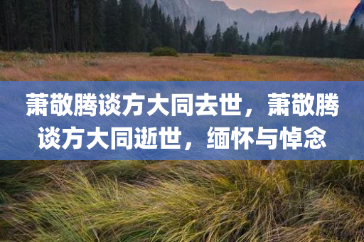萧敬腾谈方大同去世，萧敬腾谈方大同逝世，缅怀与悼念
