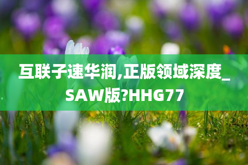 互联子速华润,正版领域深度_SAW版?HHG77