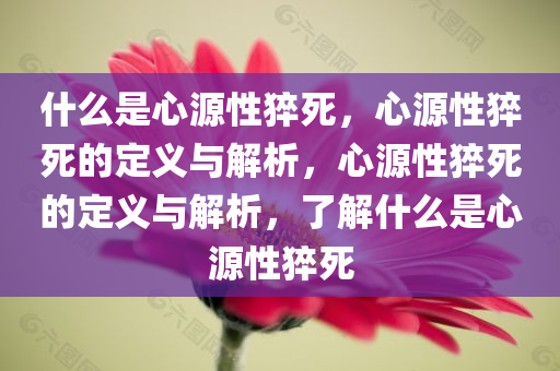 什么是心源性猝死，心源性猝死的定义与解析，心源性猝死的定义与解析，了解什么是心源性猝死
