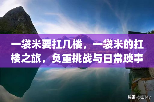 一袋米要扛几楼，一袋米的扛楼之旅，负重挑战与日常琐事，负重挑战与日常琐事，一袋米的扛楼之旅