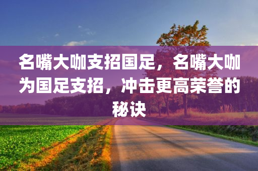 名嘴大咖支招国足，名嘴大咖为国足支招，冲击更高荣誉的秘诀