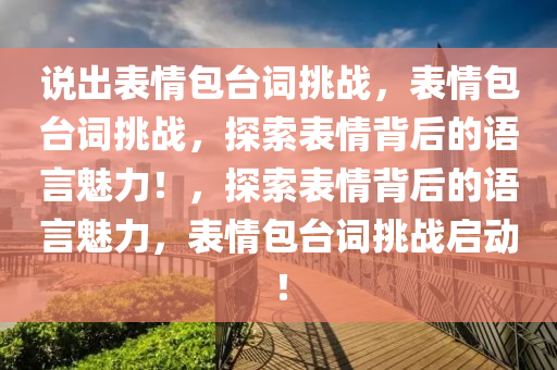 说出表情包台词挑战，表情包台词挑战，探索表情背后的语言魅力！，探索表情背后的语言魅力，表情包台词挑战启动！